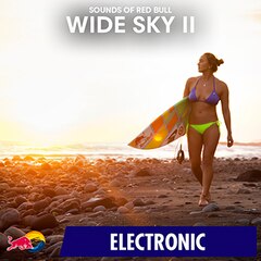 Album art for Wide Sky II